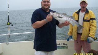 Chesapeake Bay Nice Rockfish 2 #29