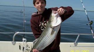 Chesapeake Bay Trophy Rockfish 2 #6
