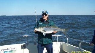 Chesapeake Bay Trophy Rockfish 4 #39