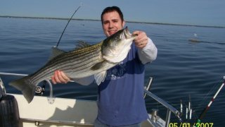 Chesapeake Bay Trophy Rockfish 3 #27
