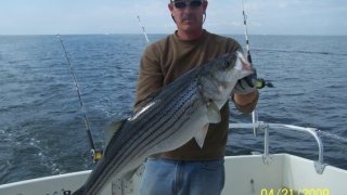 Chesapeake Bay Trophy Rockfish 4 #37