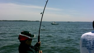 Chesapeake Bay Action Shots 2 #33