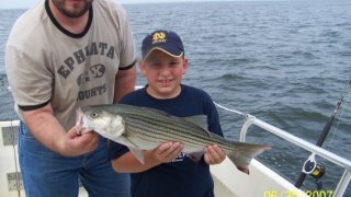 Chesapeake Bay Nice Rockfish 2 #6