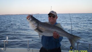 Chesapeake Bay Trophy Rockfish 4 #42