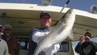 Chesapeake Bay Trophy Rockfish 2 #26