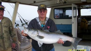 Chesapeake Bay Trophy Rockfish 2 #21