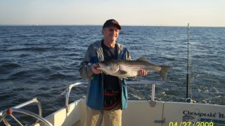 Chesapeake Bay Nice Rockfish 3 #14