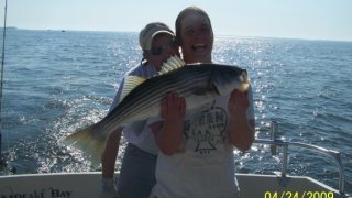 Chesapeake Bay Nice Rockfish 3 #11