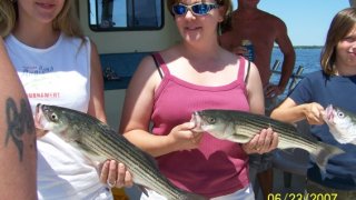 Chesapeake Bay Nice Rockfish 2 #1
