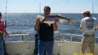Chesapeake Bay Nice Rockfish 2 #22