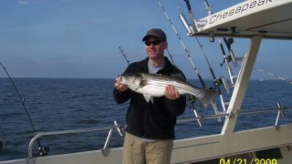 Chesapeake Bay Nice Rockfish 3 #4