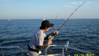 Chesapeake Bay Action Shots 2 #7
