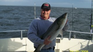 Chesapeake Bay Nice Rockfish #6
