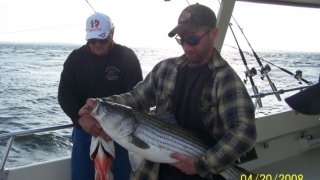 Chesapeake Bay Nice Rockfish #5