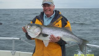 Chesapeake Bay Trophy Rockfish 4 #55