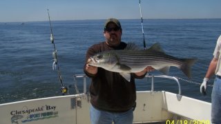 Chesapeake Bay Trophy Rockfish 4 #32