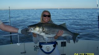 Chesapeake Bay Trophy Rockfish 4 #27