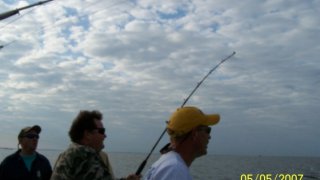Chesapeake Bay Action Shots 2 #16