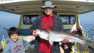 Chesapeake Bay Trophy Rockfish 3 #14