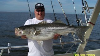 Chesapeake Bay Trophy Rockfish 3 #15