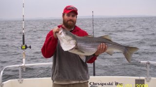 Chesapeake Bay Trophy Rockfish 4 #68