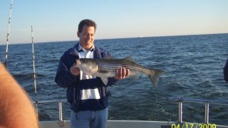Chesapeake Bay Trophy Rockfish 4 #9