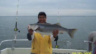 Chesapeake Bay Trophy Rockfish 4 #59