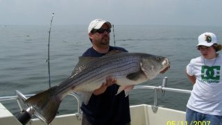Chesapeake Bay Trophy Rockfish 2 #23