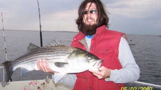 Chesapeake Bay Trophy Rockfish 2 #9