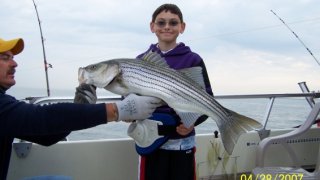 Chesapeake Bay Trophy Rockfish 3 #24