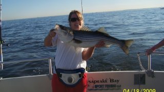 Chesapeake Bay Trophy Rockfish 4 #26