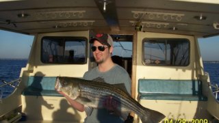Chesapeake Bay Trophy Rockfish 4 #53