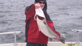 Chesapeake Bay Trophy Rockfish 4 #8