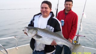 Chesapeake Bay Trophy Rockfish #18