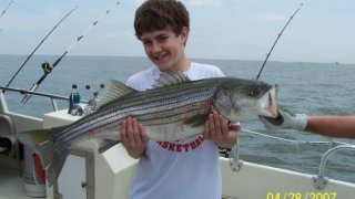 Chesapeake Bay Trophy Rockfish 2 #3