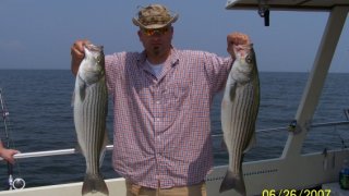 Chesapeake Bay Nice Rockfish 2 #3