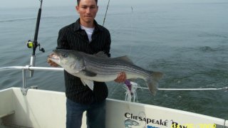 Chesapeake Bay Trophy Rockfish #25
