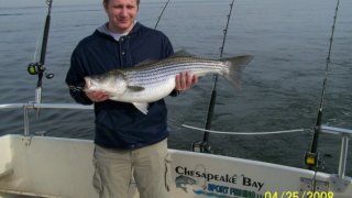 Chesapeake Bay Trophy Rockfish #23
