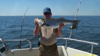 Chesapeake Bay Nice Rockfish 3 #16