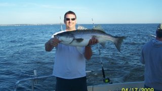 Chesapeake Bay Trophy Rockfish 4 #23