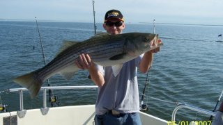 Chesapeake Bay Trophy Rockfish #31