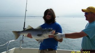 Chesapeake Bay Trophy Rockfish 2 #15