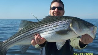 Chesapeake Bay Trophy Rockfish 4 #16