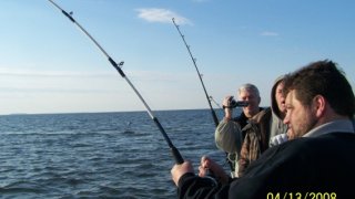 Chesapeake Bay Action Shots #2