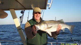 Chesapeake Bay Trophy Rockfish 4 #41