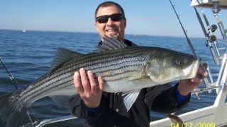 Chesapeake Bay Trophy Rockfish 4 #14