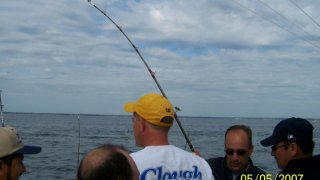 Chesapeake Bay Action Shots 2 #18