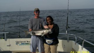 Chesapeake Bay Nice Rockfish 2 #13