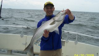 Chesapeake Bay Trophy Rockfish #3