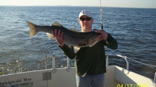 Chesapeake Bay Trophy Rockfish 4 #25